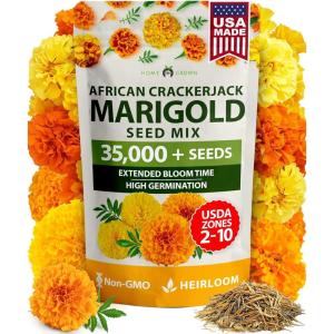 imageHOME GROWN Bachelor Button Flower Seeds Tall Mix 700 Cornflower Heirloom Seeds for Planting  Quick Blooming NonGMO Pollinator Friendly Easy to Grow Wildflowers USA Grown Centaurea cyanusAfrican Marigold