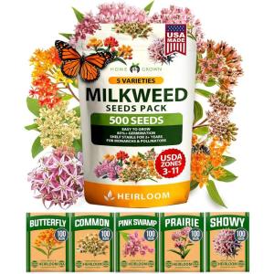 imageHOME GROWN Bachelor Button Flower Seeds Tall Mix 700 Cornflower Heirloom Seeds for Planting  Quick Blooming NonGMO Pollinator Friendly Easy to Grow Wildflowers USA Grown Centaurea cyanusMilkweed