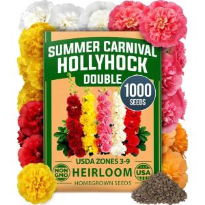 imageHOME GROWN Bachelor Button Flower Seeds Tall Mix 700 Cornflower Heirloom Seeds for Planting  Quick Blooming NonGMO Pollinator Friendly Easy to Grow Wildflowers USA Grown Centaurea cyanusHollyhock