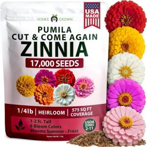 imageHOME GROWN Dwarf Zinnia Seeds Mix  17000 Pumila Zinnia Seeds for 2026  Zinnia Flower Seeds for Planting Outdoors  Bulk Colorful Cut Annual Flowers for Summer Gardens amp Containers Zinnia elegans