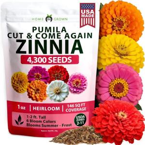 imageHOME GROWN Dwarf Zinnia Seeds Mix  4300 Pumila Zinnia Seeds for 2026  Zinnia Flower Seeds for Planting Outdoors  Colorful Cut Annual Flowers for Summer Gardens amp Containers Zinnia elegans