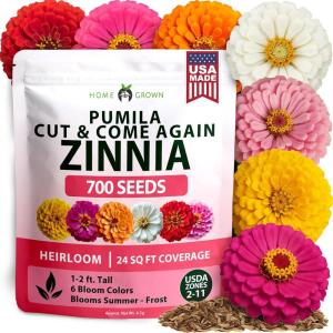 imageHOME GROWN Dwarf Zinnia Seeds Mix  700 Pumila Zinnias Seeds for 2026  Zinna Flower Seed for Planting Outdoors  Colorful Cut Annual Flowers for Summer Gardens amp Containers Zinnia elegans