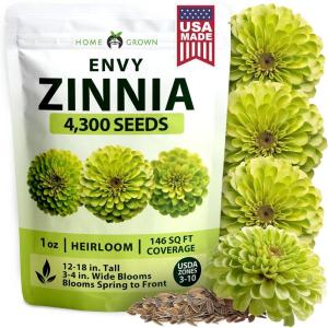imageHOME GROWN Envy Zinnia Seeds 1g  4300 Rare Lime Green Annual Zinnia Flower Seeds for Planting FastGrowing Bulk Variety Premium Herb Seeds Garden Companion for 2026 Blooms Zinnia elegans
