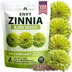 imageHOME GROWN Envy Zinnia Seeds 2oz  8500 Rare Lime Green Annual Zinnia Flower Seeds for Planting FastGrowing Bulk Seed Variety Premium Garden Companion for 2026 Bloom Zinnia elegans