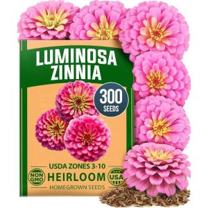 imageHOME GROWN Pink Zinnia Seeds  300 Luminosa Zinnias 05g Easy to Grow Annual Flower Seeds for Planting Outdoors for 2026 Fast Blooming Heat Tolerant Herb Seed Garden Companion Zinnia elegansZinnia Luminosa 1pk
