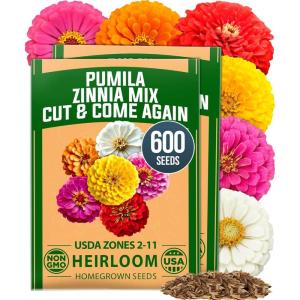 imageHOME GROWN Pink Zinnia Seeds  300 Luminosa Zinnias 05g Easy to Grow Annual Flower Seeds for Planting Outdoors for 2026 Fast Blooming Heat Tolerant Herb Seed Garden Companion Zinnia elegansZinnia Pumila 2pk