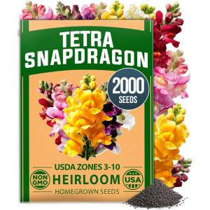 imageHOME GROWN Snapdragon Seeds Tetra 03g  2000 Tall Flower Seeds to Plant Outside  Vibrant Perennial Snapdragons Mixed Colors  Cut Flower Seeds for Gardens Borders Bouquets Antirrhinum majus