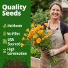 imageHOME GROWN California Poppy Golden West Seeds 6000 Spring Flower Seeds for Planting 2026 Perennial Poppy Seed for Planting Outdoors Herb Seeds Eschscholzia californica