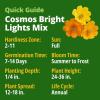 imageHOME GROWN Cosmos Bright Lights Mix Seeds  5000 Cosmos Sulphureus for Planting Spring 2026 Refined Wildflower Herb Seed Mix Easy Grow Outdoor Flower Seeds for GardensCosmos Bright Lights  Large