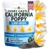imageHOME GROWN California Poppy Ivory Castle 2500 Seeds 33g 2026 Spring Flower Seeds for Planting Outdoors California Poppies Bulk Perennial Self Seeding Flower Seeds Eschscholzia Californica
