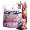 imageHOME GROWN Cosmos Bright Lights Mix Seeds  5000 Cosmos Sulphureus for Planting Spring 2026 Refined Wildflower Herb Seed Mix Easy Grow Outdoor Flower Seeds for GardensSnapdragon Northern Light  Medium