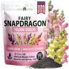 imageHOME GROWN Snapdragon Fairy Seeds  10000 Snapdragon Seeds for Spring Planting 2026 Dwarf Plants Long Blooming Flower Seed for Garden Beds Pollinator Friendly Antirrhinum Majus