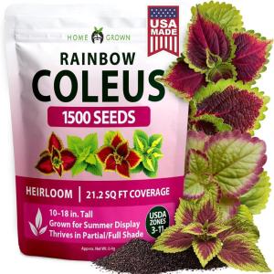 imageHOME GROWN Coleus Rainbow Seeds for Planting Spring 2026  1500 Count 004 oz Plectranthus scutellarioides House Plant Seed AnnualPerennial Multicolor Foliage Indoor amp Shade Garden Flower Seeds