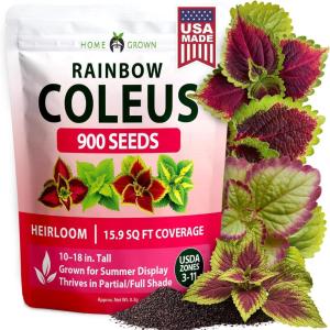 imageHOME GROWN Coleus Seeds for Planting  900 Rainbow Coleus Plant Seeds Multicolor Spring 2026 Flower Seed AnnualPerennial House Plants for Garden Outdoors amp Indoors Plectranthus scutellarioides