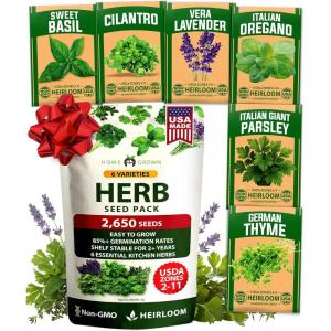 imageHOME GROWN Thumbelina Zinnia Seeds 1g  500 Dwarf Zinnia for Planting 2026 Spring Flower Seeds to Plant Outside Easy Summer Garden Bloom for Containers amp Borders Zinnia elegans6Pack