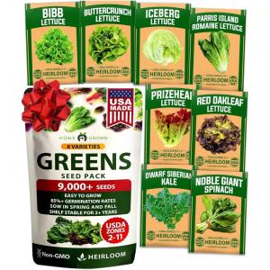 imageHOME GROWN Thumbelina Zinnia Seeds 1g  500 Dwarf Zinnia for Planting 2026 Spring Flower Seeds to Plant Outside Easy Summer Garden Bloom for Containers amp Borders Zinnia elegans8Pack