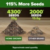 image:imageHOME GROWN Zinnia Cactus Mix Seeds  2000 Heirloom NonGMO Flower Seeds for Spring 2026 Planting Outdoors Large Cactus Blooms Tall Cut Flower Garden USDA Zones 310 Zinnia elegansGreen Zinnia Envy  Medium
