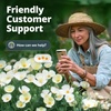 image:imageHOME GROWN Zinnia Cactus Mix Seeds  2000 Heirloom NonGMO Flower Seeds for Spring 2026 Planting Outdoors Large Cactus Blooms Tall Cut Flower Garden USDA Zones 310 Zinnia elegansPoppy Ivory Castle  Medium
