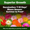 image:imageHOME GROWN Zinnia Cactus Mix Seeds  2000 Heirloom NonGMO Flower Seeds for Spring 2026 Planting Outdoors Large Cactus Blooms Tall Cut Flower Garden USDA Zones 310 Zinnia elegansZinnia Cactus  Large