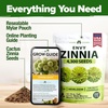 image:imageHOME GROWN Zinnia Cactus Mix Seeds  2000 Heirloom NonGMO Flower Seeds for Spring 2026 Planting Outdoors Large Cactus Blooms Tall Cut Flower Garden USDA Zones 310 Zinnia elegansGreen Zinnia Envy  Medium