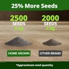 image:imageHOME GROWN Zinnia Cactus Mix Seeds  2000 Heirloom NonGMO Flower Seeds for Spring 2026 Planting Outdoors Large Cactus Blooms Tall Cut Flower Garden USDA Zones 310 Zinnia elegansPoppy Ivory Castle  Medium