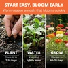 image:imageHOME GROWN Zinnia Cactus Mix Seeds  2000 Heirloom NonGMO Flower Seeds for Spring 2026 Planting Outdoors Large Cactus Blooms Tall Cut Flower Garden USDA Zones 310 Zinnia elegansZinnia Cactus  Medium