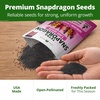 image:imageHOME GROWN Zinnia Cactus Mix Seeds  2000 Heirloom NonGMO Flower Seeds for Spring 2026 Planting Outdoors Large Cactus Blooms Tall Cut Flower Garden USDA Zones 310 Zinnia elegansSnapdragon Tetra Mix  Large