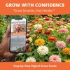 image:imageHOME GROWN Zinnia Cactus Mix Seeds  2000 Heirloom NonGMO Flower Seeds for Spring 2026 Planting Outdoors Large Cactus Blooms Tall Cut Flower Garden USDA Zones 310 Zinnia elegansZinnia Cactus  Medium