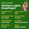 image:imageHOME GROWN Zinnia Cactus Mix Seeds  2000 Heirloom NonGMO Flower Seeds for Spring 2026 Planting Outdoors Large Cactus Blooms Tall Cut Flower Garden USDA Zones 310 Zinnia elegansSnapdragon Northern Light  Medium