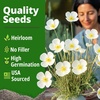 image:imageHOME GROWN Zinnia Cactus Mix Seeds  2000 Heirloom NonGMO Flower Seeds for Spring 2026 Planting Outdoors Large Cactus Blooms Tall Cut Flower Garden USDA Zones 310 Zinnia elegansPoppy Ivory Castle  Medium
