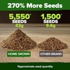image:imageHOME GROWN Zinnia Cactus Mix Seeds  2000 Heirloom NonGMO Flower Seeds for Spring 2026 Planting Outdoors Large Cactus Blooms Tall Cut Flower Garden USDA Zones 310 Zinnia elegansZinnia Cactus  Large