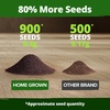 image:imageHOME GROWN Zinnia Cactus Mix Seeds  2000 Heirloom NonGMO Flower Seeds for Spring 2026 Planting Outdoors Large Cactus Blooms Tall Cut Flower Garden USDA Zones 310 Zinnia elegansColeus Rainbow  Medium