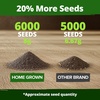 image:imageHOME GROWN Zinnia Cactus Mix Seeds  2000 Heirloom NonGMO Flower Seeds for Spring 2026 Planting Outdoors Large Cactus Blooms Tall Cut Flower Garden USDA Zones 310 Zinnia elegansPoppy Golden West  Medium