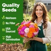 image:imageHOME GROWN Zinnia Cactus Mix Seeds  2000 Heirloom NonGMO Flower Seeds for Spring 2026 Planting Outdoors Large Cactus Blooms Tall Cut Flower Garden USDA Zones 310 Zinnia elegansZinnia Cactus  Large