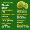 image:imageHOME GROWN Zinnia Cactus Mix Seeds  2000 Heirloom NonGMO Flower Seeds for Spring 2026 Planting Outdoors Large Cactus Blooms Tall Cut Flower Garden USDA Zones 310 Zinnia elegansZinnia Envy  Large