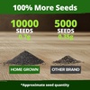image:imageHOME GROWN Zinnia Cactus Mix Seeds  2000 Heirloom NonGMO Flower Seeds for Spring 2026 Planting Outdoors Large Cactus Blooms Tall Cut Flower Garden USDA Zones 310 Zinnia elegansSnapdragon Fairy  Medium