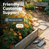 image:imageHOME GROWN Zinnia Cactus Mix Seeds  2000 Heirloom NonGMO Flower Seeds for Spring 2026 Planting Outdoors Large Cactus Blooms Tall Cut Flower Garden USDA Zones 310 Zinnia elegansCosmos Bright Lights  Large