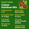 image:imageHOME GROWN Zinnia Cactus Mix Seeds  2000 Heirloom NonGMO Flower Seeds for Spring 2026 Planting Outdoors Large Cactus Blooms Tall Cut Flower Garden USDA Zones 310 Zinnia elegansColeus Rainbow  Large