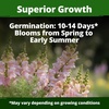 image:imageHOME GROWN Zinnia Cactus Mix Seeds  2000 Heirloom NonGMO Flower Seeds for Spring 2026 Planting Outdoors Large Cactus Blooms Tall Cut Flower Garden USDA Zones 310 Zinnia elegansSnapdragon Northern Light  Medium