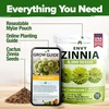 image:imageHOME GROWN Zinnia Cactus Mix Seeds  2000 Heirloom NonGMO Flower Seeds for Spring 2026 Planting Outdoors Large Cactus Blooms Tall Cut Flower Garden USDA Zones 310 Zinnia elegansZinnia Envy  Large