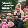 image:imageHOME GROWN Zinnia Cactus Mix Seeds  2000 Heirloom NonGMO Flower Seeds for Spring 2026 Planting Outdoors Large Cactus Blooms Tall Cut Flower Garden USDA Zones 310 Zinnia elegansPink Zinnia Luminosa  Large