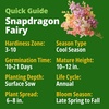 image:imageHOME GROWN Zinnia Cactus Mix Seeds  2000 Heirloom NonGMO Flower Seeds for Spring 2026 Planting Outdoors Large Cactus Blooms Tall Cut Flower Garden USDA Zones 310 Zinnia elegansSnapdragon Fairy  Medium