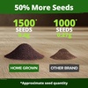 image:imageHOME GROWN Zinnia Cactus Mix Seeds  2000 Heirloom NonGMO Flower Seeds for Spring 2026 Planting Outdoors Large Cactus Blooms Tall Cut Flower Garden USDA Zones 310 Zinnia elegansColeus Rainbow  Large
