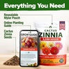 image:imageHOME GROWN Zinnia Cactus Mix Seeds  2000 Heirloom NonGMO Flower Seeds for Spring 2026 Planting Outdoors Large Cactus Blooms Tall Cut Flower Garden USDA Zones 310 Zinnia elegansZinnia Cactus  Large