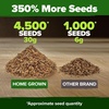 image:imageHOME GROWN Zinnia Cactus Mix Seeds  2000 Heirloom NonGMO Flower Seeds for Spring 2026 Planting Outdoors Large Cactus Blooms Tall Cut Flower Garden USDA Zones 310 Zinnia elegansPink Zinnia Luminosa  Large