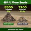image:imageHOME GROWN Zinnia Cactus Mix Seeds  2000 Heirloom NonGMO Flower Seeds for Spring 2026 Planting Outdoors Large Cactus Blooms Tall Cut Flower Garden USDA Zones 310 Zinnia elegansZinnia Envy  Large