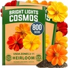 image:imageHOME GROWN Cosmos Bright Lights Mix Seeds  800 Heirloom NonGMO Cosmos Sulphureus Seeds for Planting Annual Wildflower Mix Orange Gold Scarlet Yellow Blooms Pollinator amp Cut Flower Garden Seeds