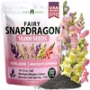 Snapdragon Fairy - Medium