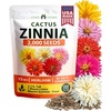 Zinnia Cactus - Medium