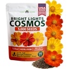 image:imageHOME GROWN Zinnia Cactus Mix Seeds  2000 Heirloom NonGMO Flower Seeds for Spring 2026 Planting Outdoors Large Cactus Blooms Tall Cut Flower Garden USDA Zones 310 Zinnia elegansCosmos Bright Lights  Large